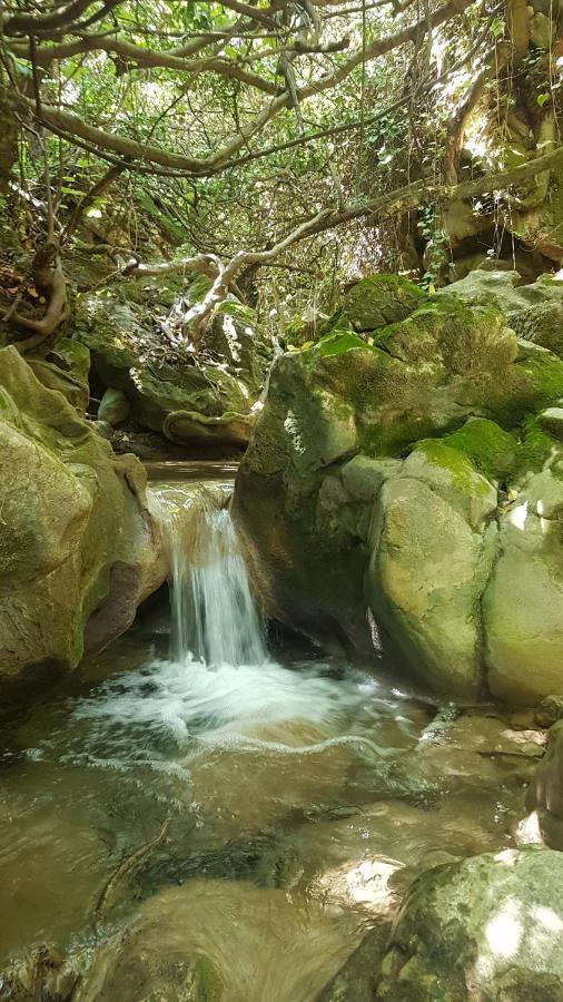 Hostal Rural De Cuadros Bedmar y Garciez Luaran gambar