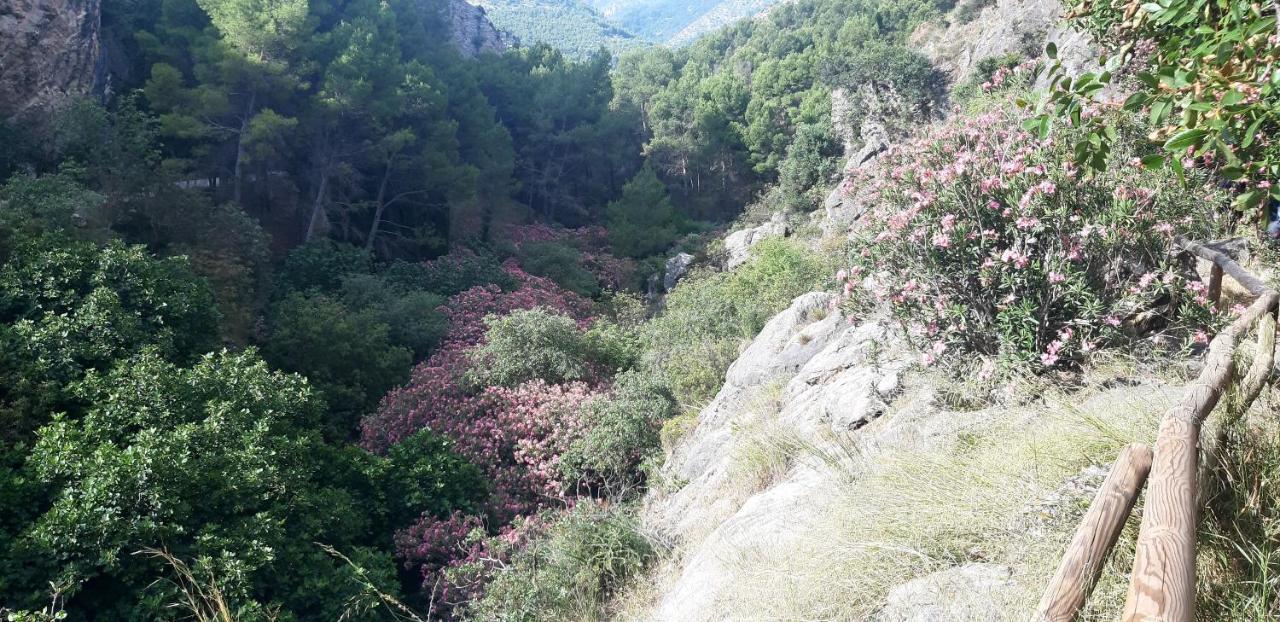 Hostal Rural De Cuadros Bedmar y Garciez Luaran gambar
